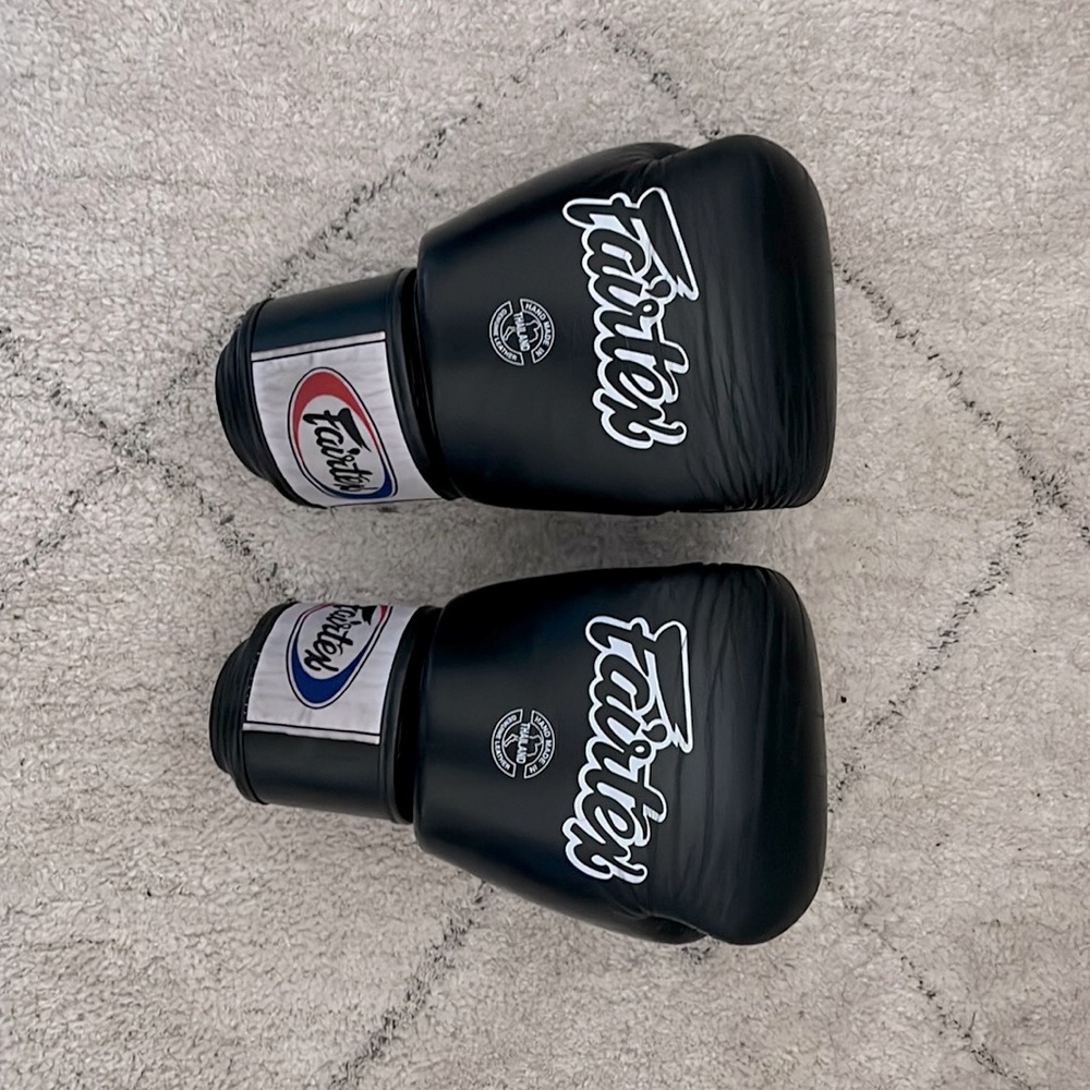 Fairtex BGV1 Muay Thai/ Boxing Gloves